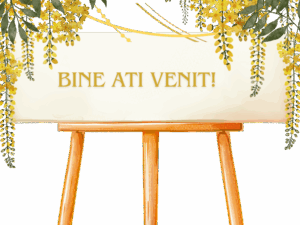 Placute "Bine ati venit!"